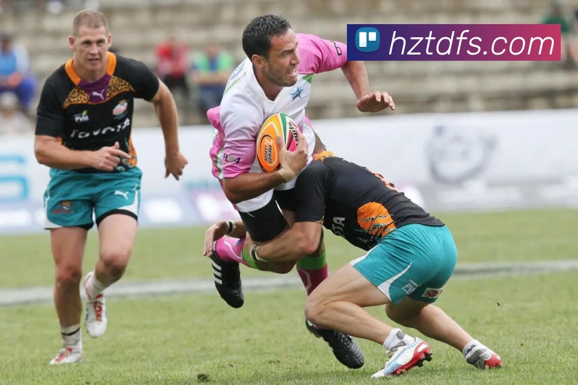 开云appAPP 封面图